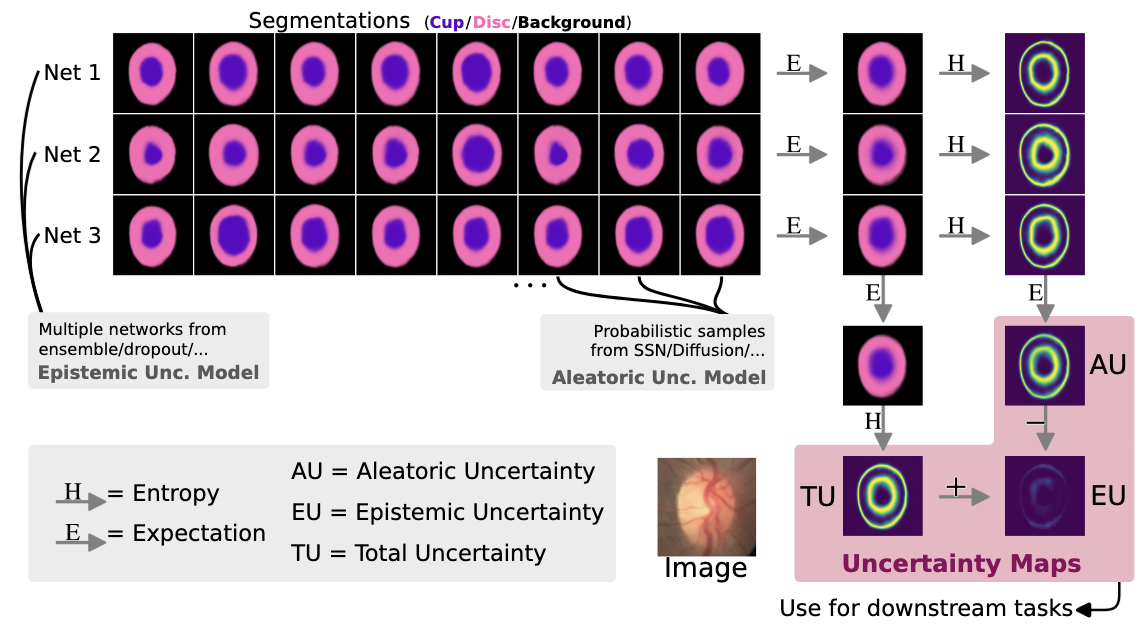 Rethinking Uncertainty Quantification and Entanglement in Image Segmentation